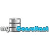 Database Consultant LLP